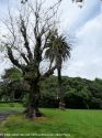 Neuseeland_November_2013_03_11_2013_002.jpg