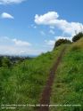 Neuseeland_November_2013_08_11_2013_051.jpg