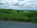 Neuseeland_November_2013_09_11_2013_015.jpg