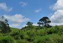 Neuseeland_November_2013_09_11_2013_022.jpg