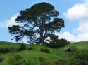 Neuseeland_November_2013_09_11_2013_052.jpg