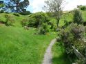 Neuseeland_November_2013_09_11_2013_067.jpg