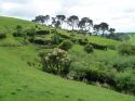 Neuseeland_November_2013_09_11_2013_083.jpg