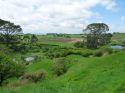 Neuseeland_November_2013_09_11_2013_095.jpg