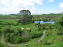 Neuseeland_November_2013_09_11_2013_099.jpg