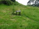 Neuseeland_November_2013_09_11_2013_106.jpg