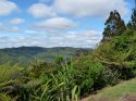 Neuseeland_November_2013_16_11_2013_010.jpg