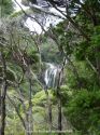 Neuseeland_November_2013_16_11_2013_089.jpg