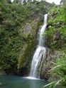 Neuseeland_November_2013_16_11_2013_092.jpg