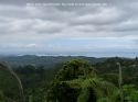 Neuseeland_November_2013_16_11_2013_098.jpg