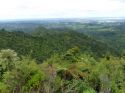 Neuseeland_November_2013_16_11_2013_099.jpg