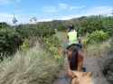 Neuseeland_November_2013_18_11_2013_023.jpg